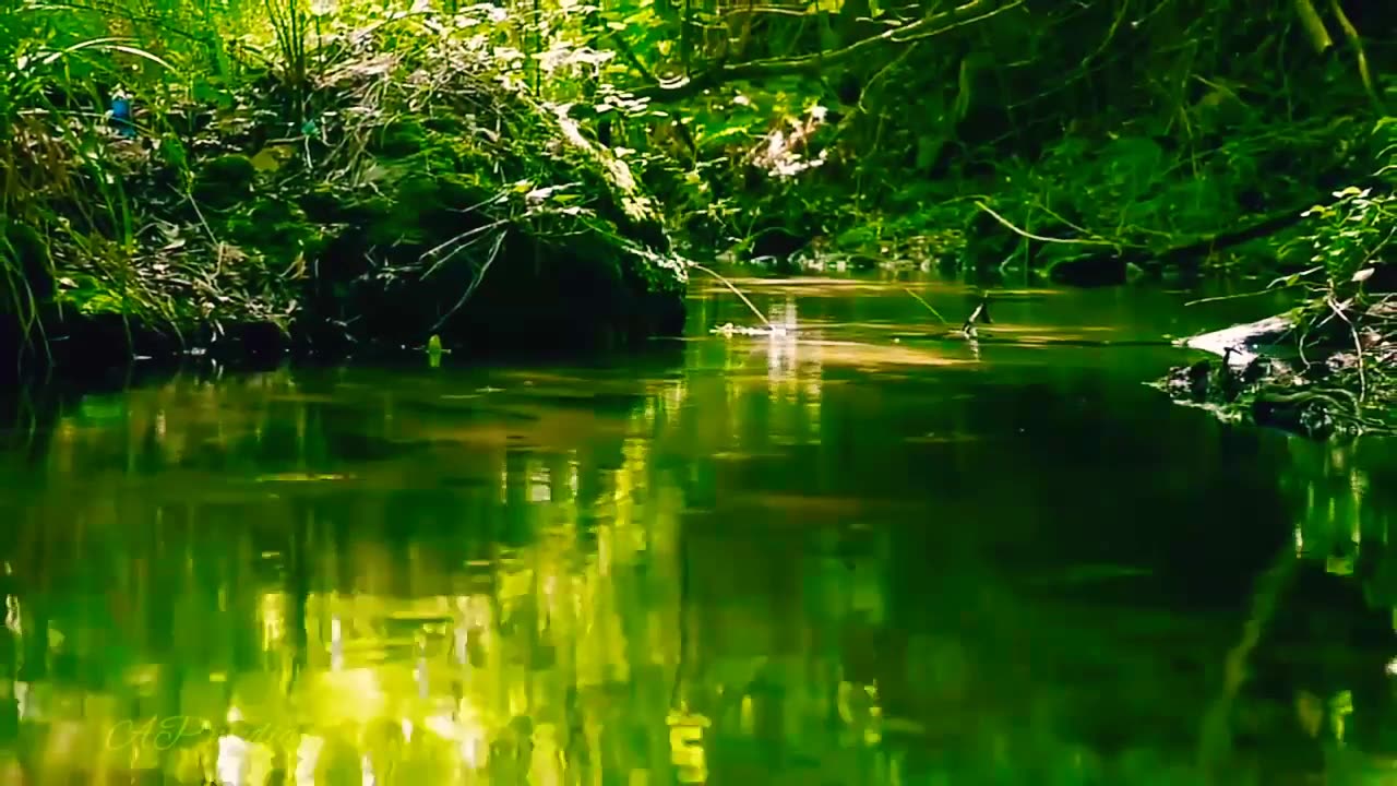 Nature relief