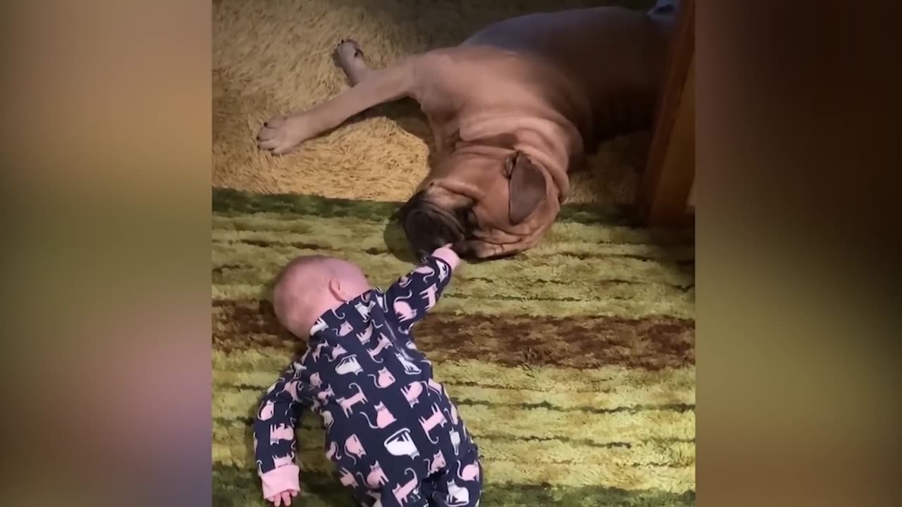 Funny baby video