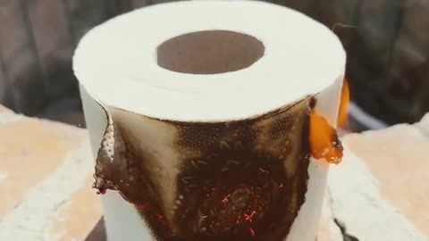 Light saber vs Toilet paper