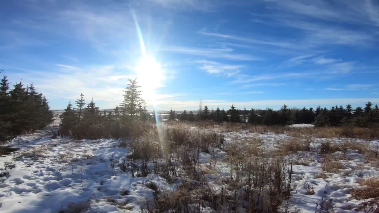 Walk around with my gopro