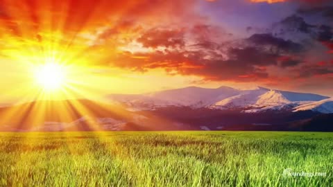 5 Minute Meditation Music - with Earth Resonance Frequency for Deeper Relaxation