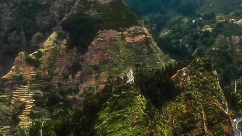 Madeira, Portugal 📍😍 Which car would you live to drive in here? 🤩