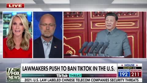 Tik Tok - Will It Be Banned In The US?