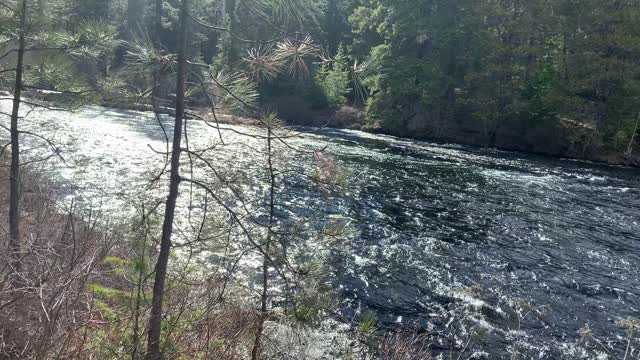 The Calming Sound of Flowing Metolius River – Central Oregon