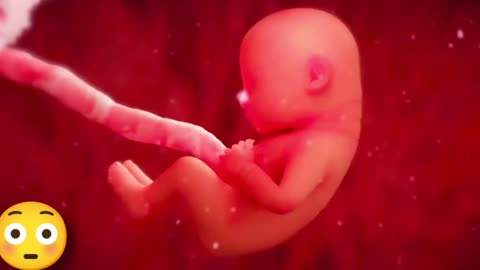 Reproductive System of Men | Private part of body | 3D Animation