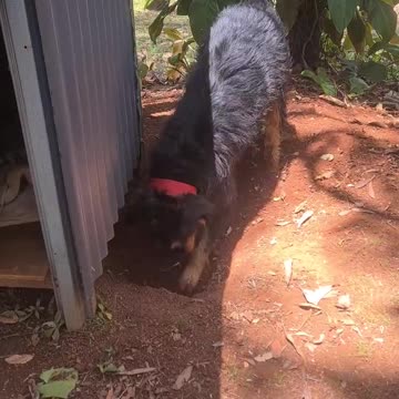 Very different styles 👇 See the Description for a Surprise!