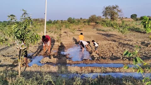 Kids farming