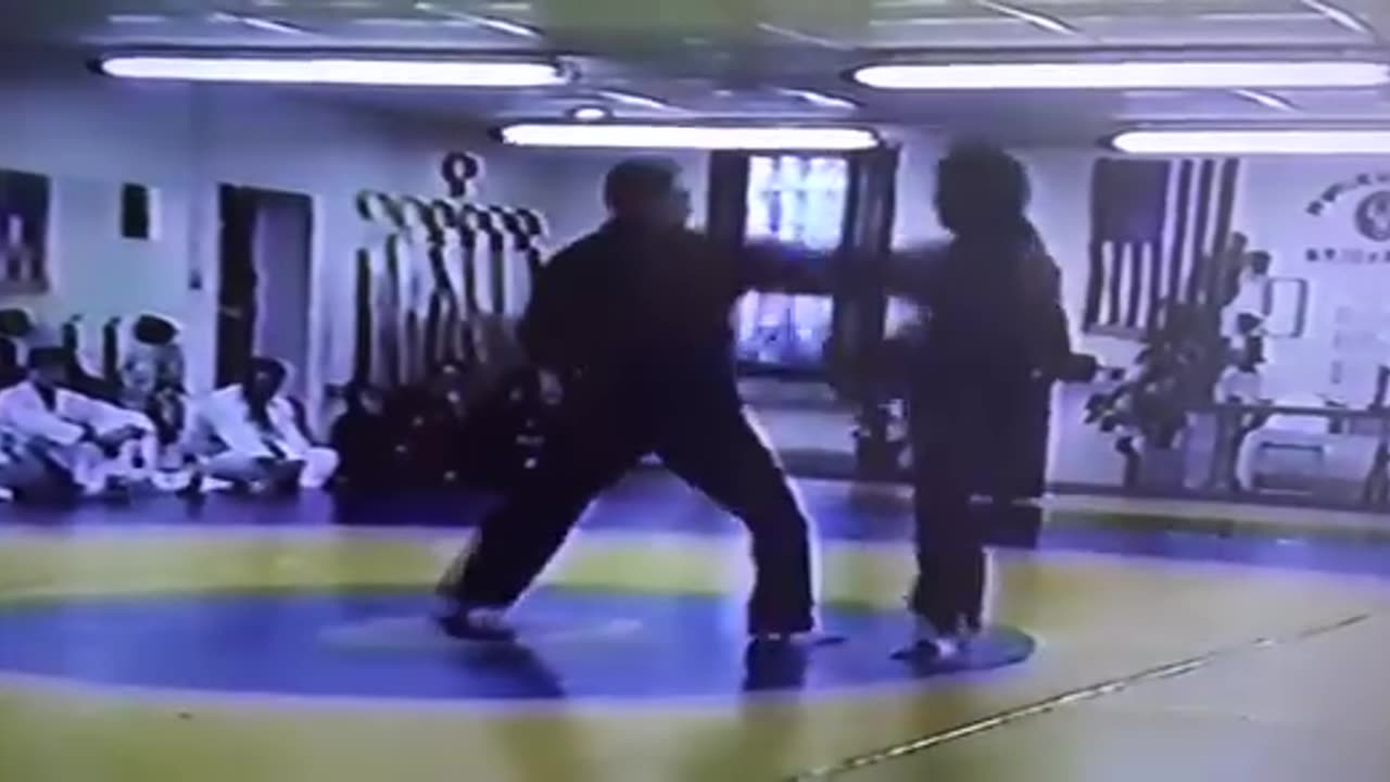 Grandmaster Ko Grandmaster Laino & Grandmaster Sperduto Hapkido Demonstration