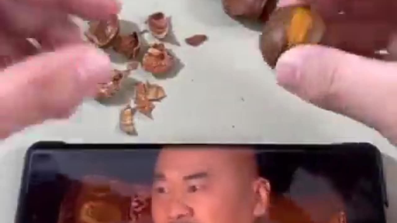 Knocked out by a hazelnut