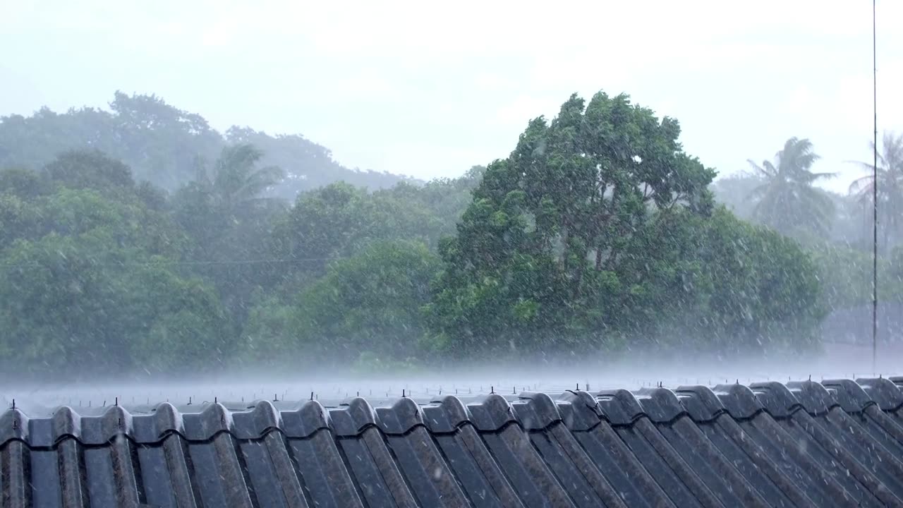 Rainfall: The Sound of Nature's Symphony