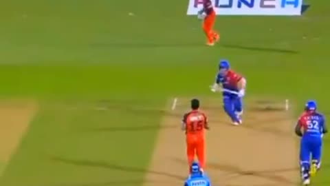 fans-video cricket lovers-video #cricket #cricketlover