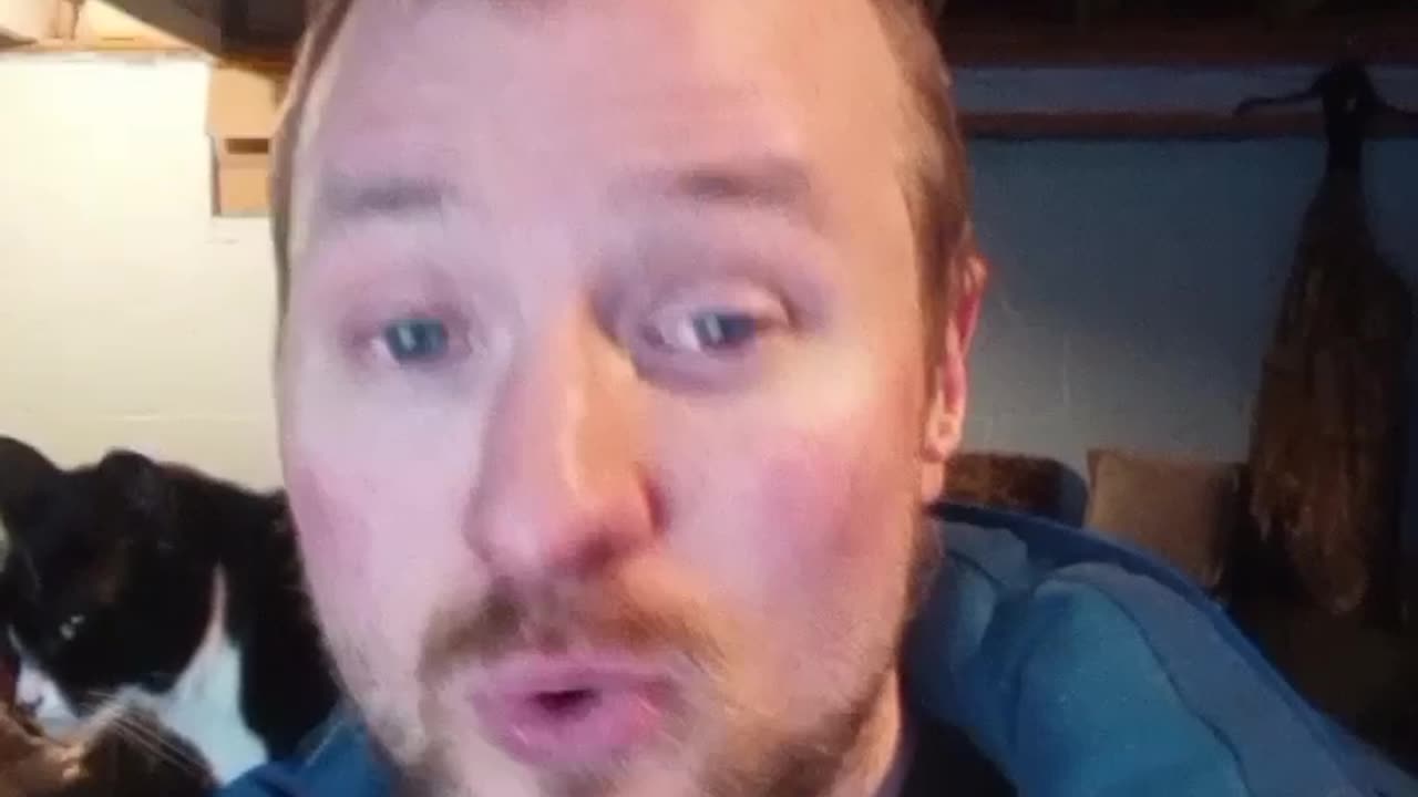 MAJOR WIN JOIN PATREON NOW. WULF, MARA, CHC, TLRY