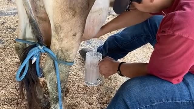 Como en el campo 🥰