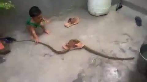 Funny baby with animal