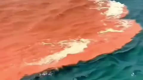 Amazing waves🌊💦