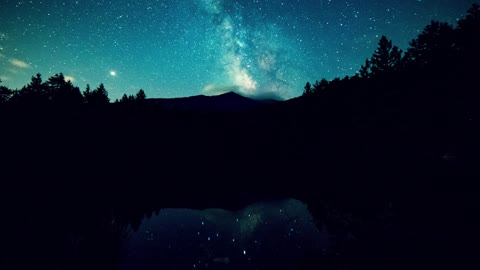 Sleep Sounds - Birds and Crickets