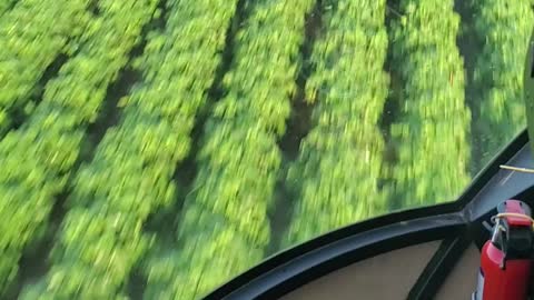 Spraying Cotton in an R44