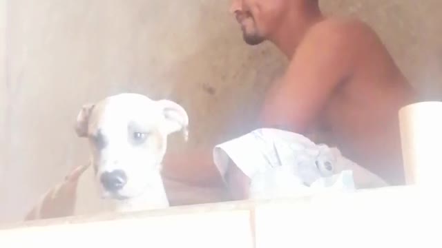 A Mi perro le gusta bañarse