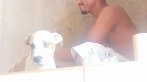 A Mi perro le gusta bañarse