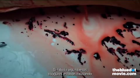 De los creadores de - "THE BIG RESET".