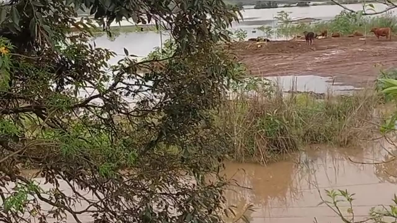 Rio forquetinha represado pelo rio taquari