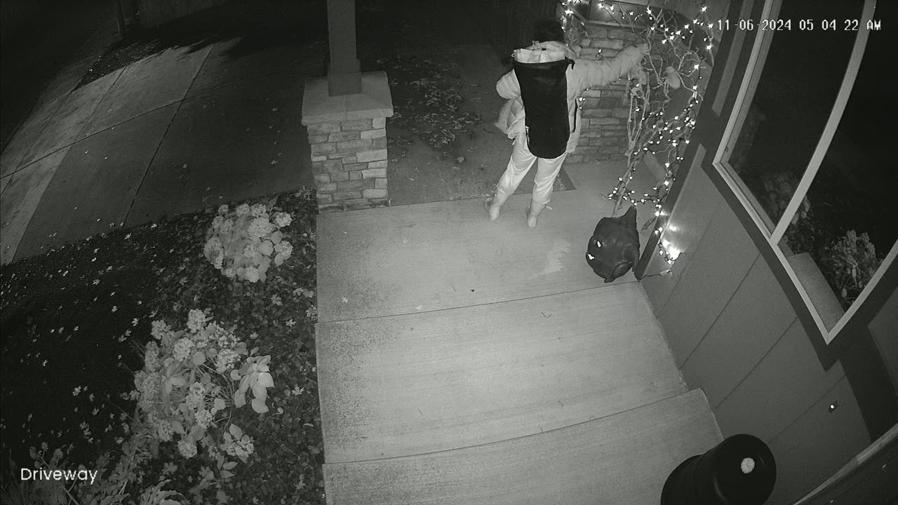 Security Camera Catches Apparent Theft of Halloween Decorations