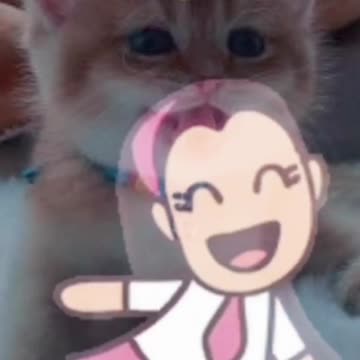 The most important is happy