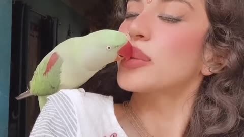 Parrot 🦜 orr wht