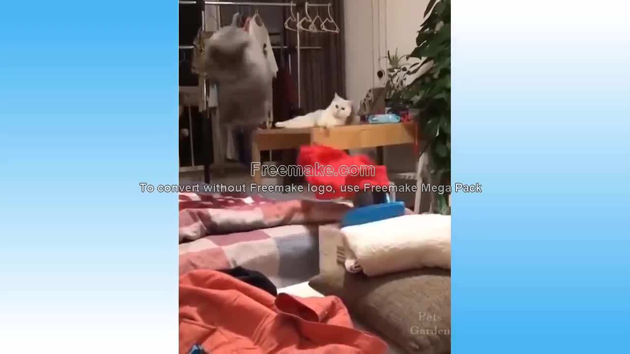 Extremely Hilarious Cats