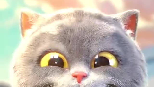 Cute cat tikto tabby cat