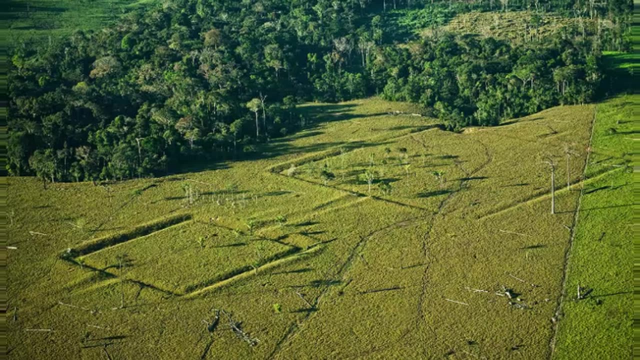 Amazon #shorts #amazon #lostcivilization #archeology