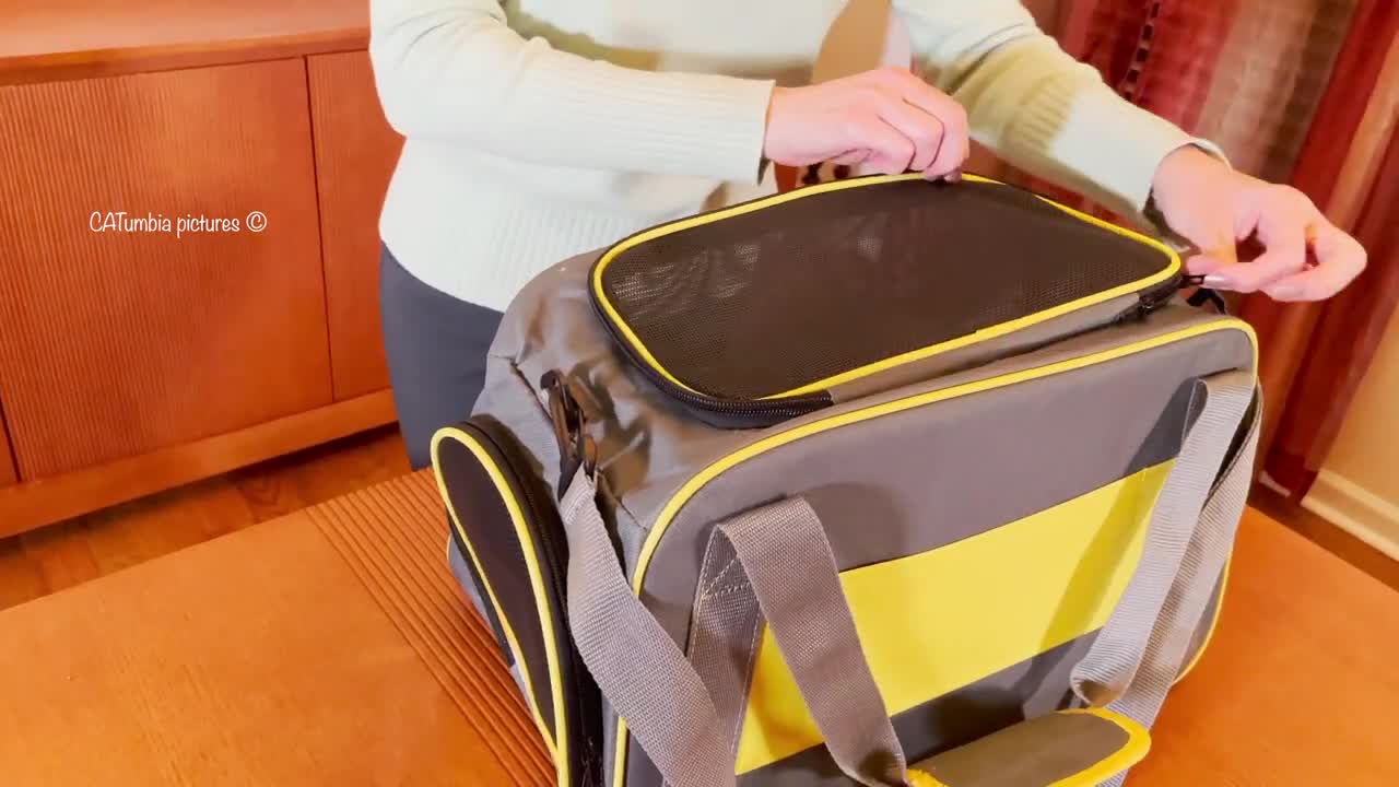 OKMEE Pet Carrier Review British Shorthair Cats and Kittens Test New Travel Carrier