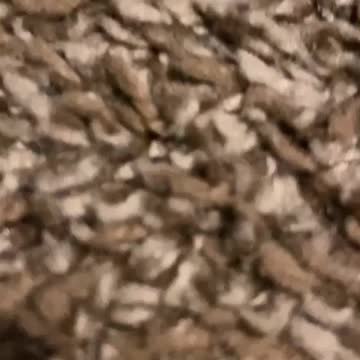 Cats natural habitat haha