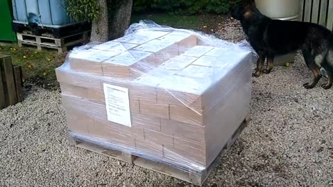 The last bulk mailing for 2021 to NW England, Some of Coventry and some of the PE postode