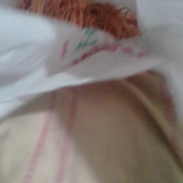 estou aprendendo a tirar cobre fio pt16