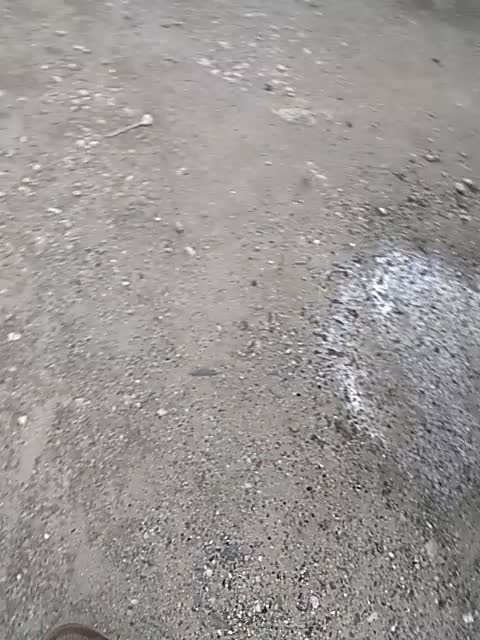 Styrofoam Front Bumper Salvage Yard