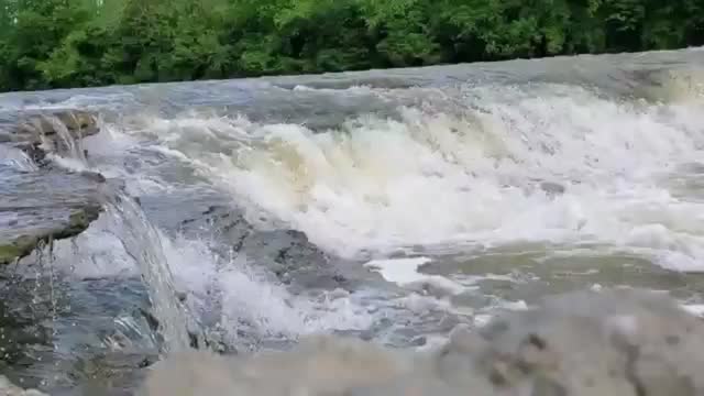 Small waterfalls with trees around it