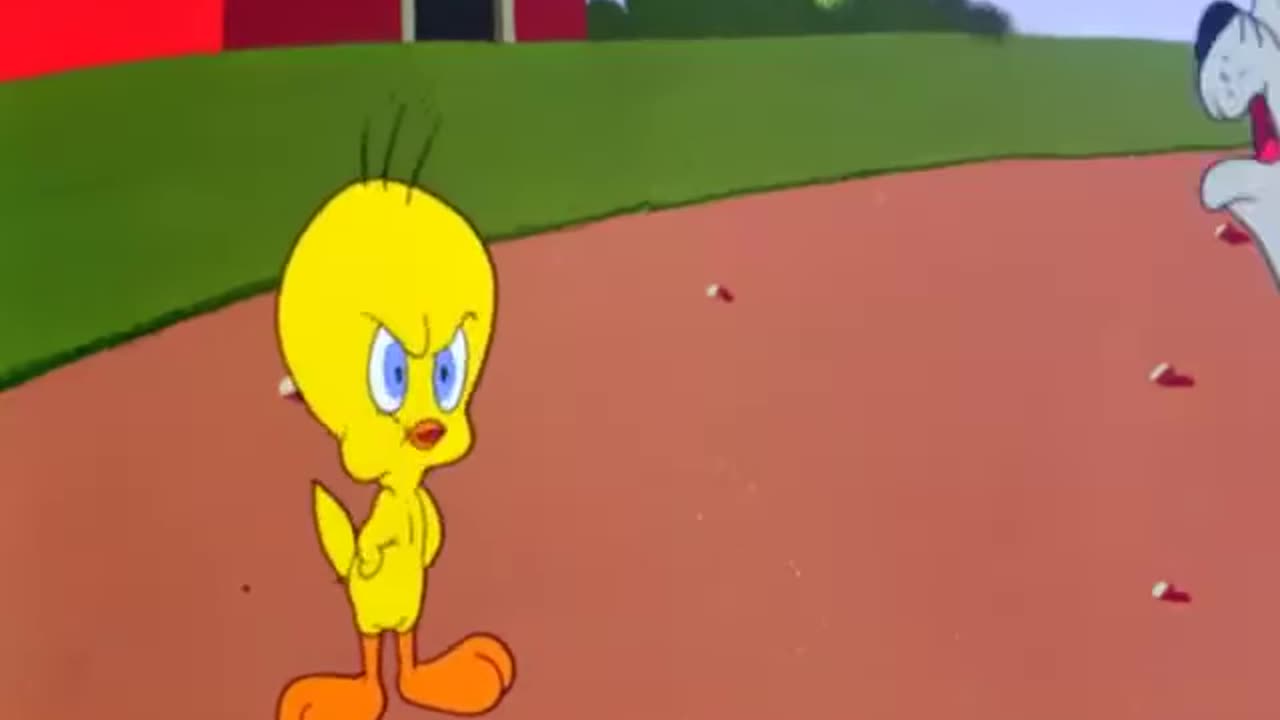 New Cartoon Video
