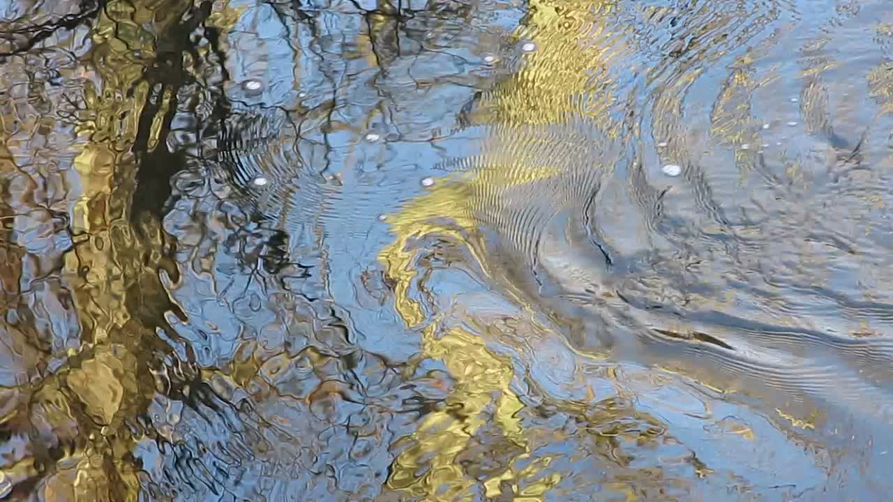water, ripples, reflections