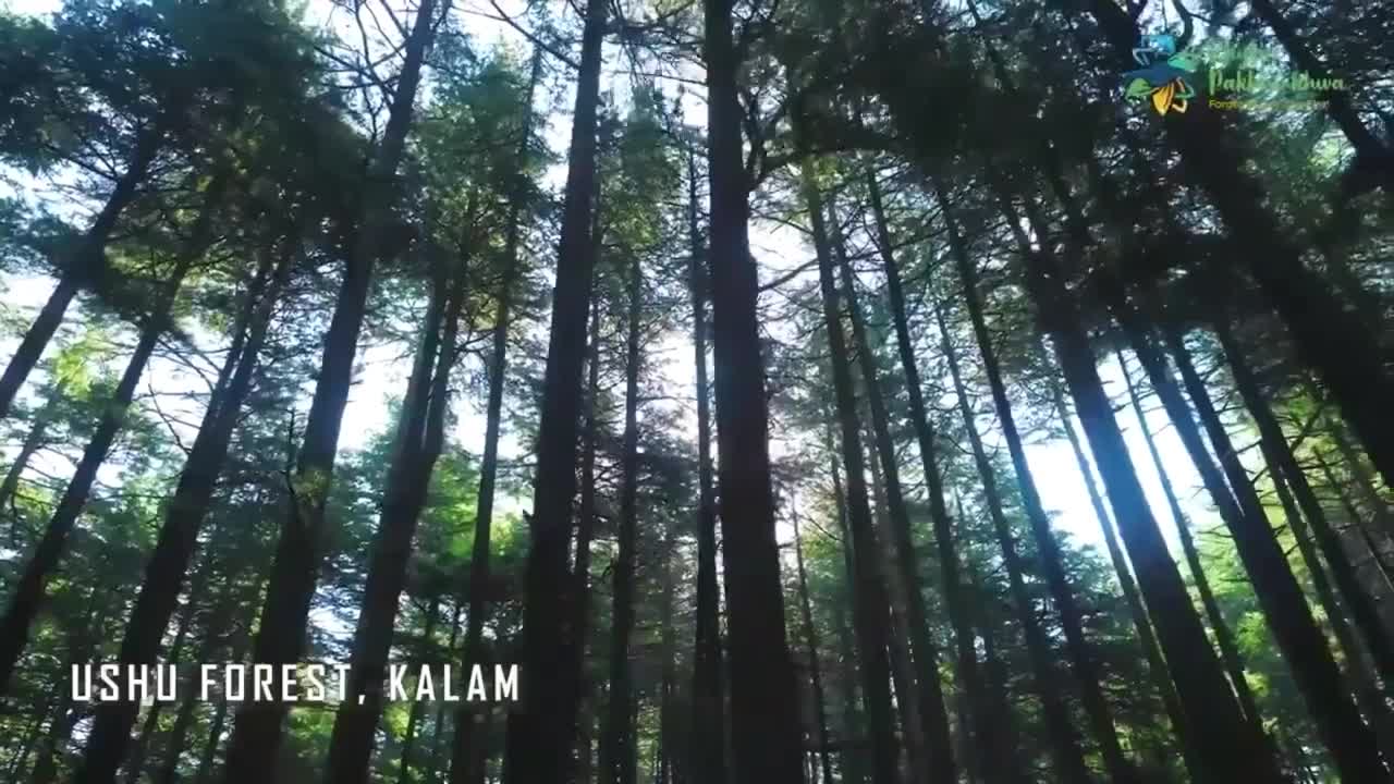 NATURAL BEUTIFUL PLACES IN SOUTH ASIA