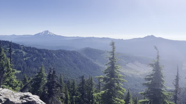 Looking Down on the Expansive Forest We Just Climbed Up From – Crescent Mountain Summit – 4K