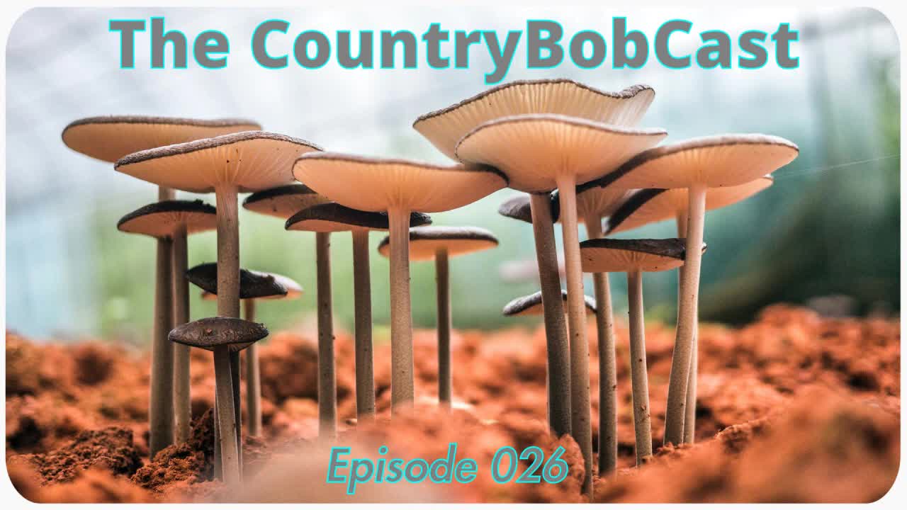 The CountryBobCast - 026 - Effe Lekker Zwammen