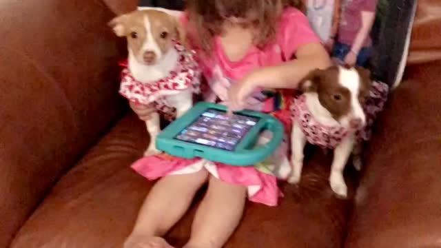 Charlie and the pups
