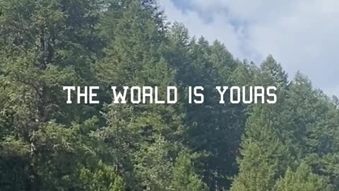 The World is Yours