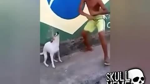 Dancing dog and singer