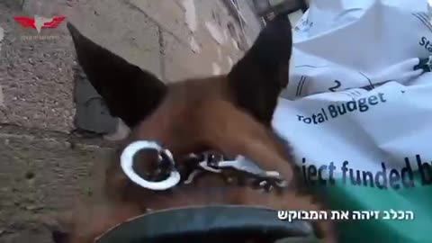 Gaza a IDF military K-9 caught a bomber who deonated an IED