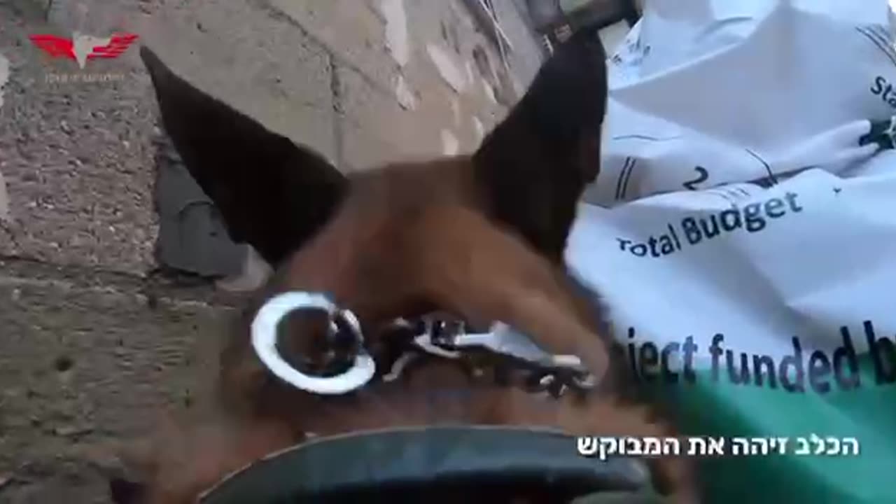 Gaza a IDF military K-9 caught a bomber who deonated an IED