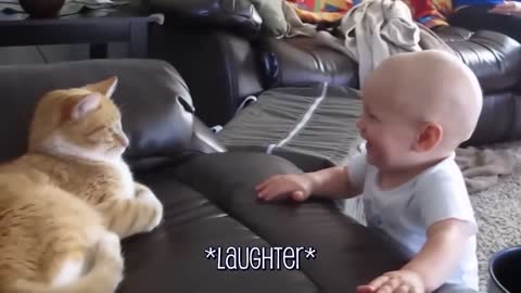 Funny Cat and Babies Playing together part 1