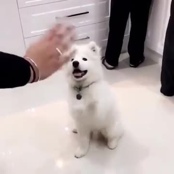 Say Hi everyone Isn’t he so cute