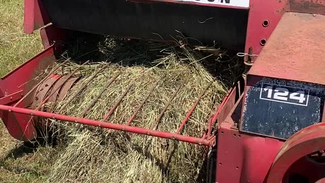 Massey Ferguson 124 baler working hard